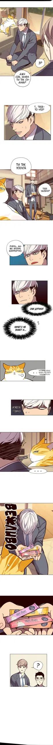Page 8.000