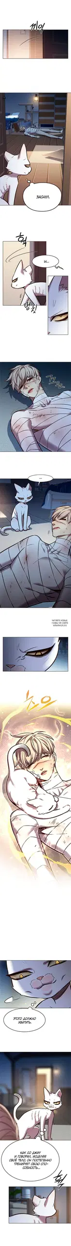 Page 8.000