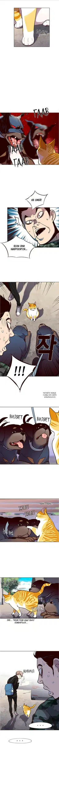 Page 9.000
