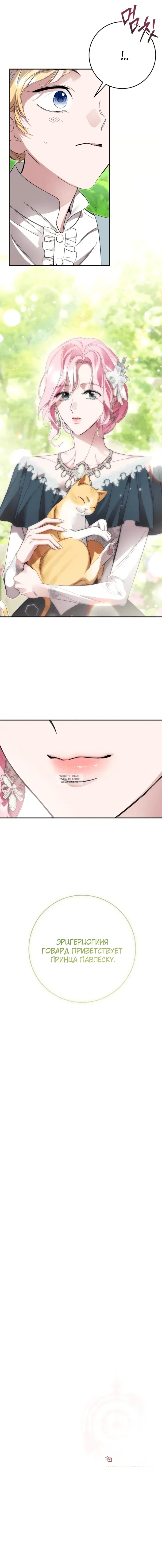 Page 21.000