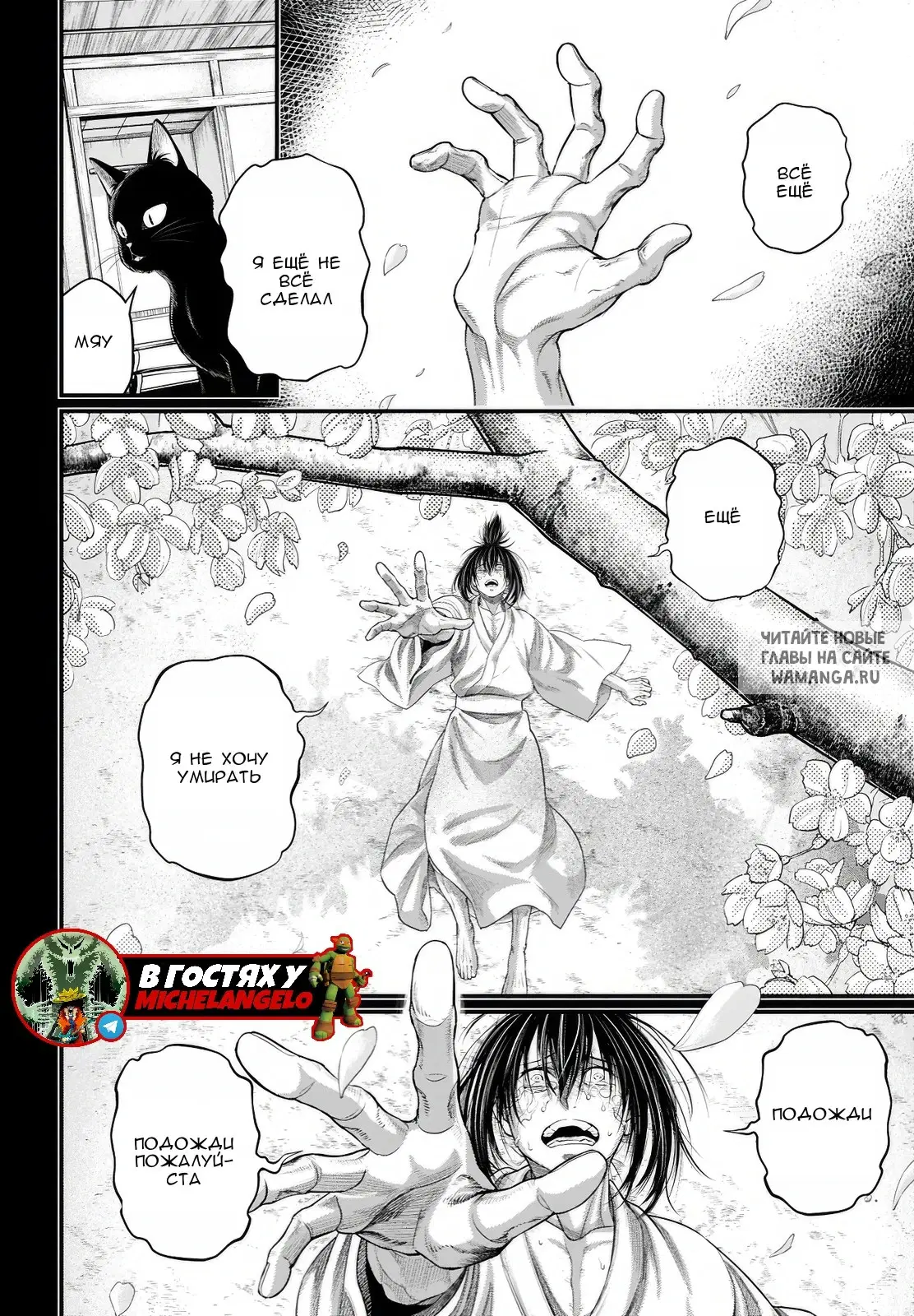 Page 31.000