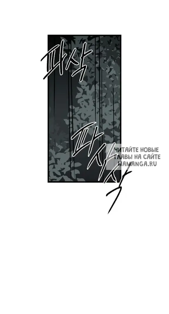 Page 41.000