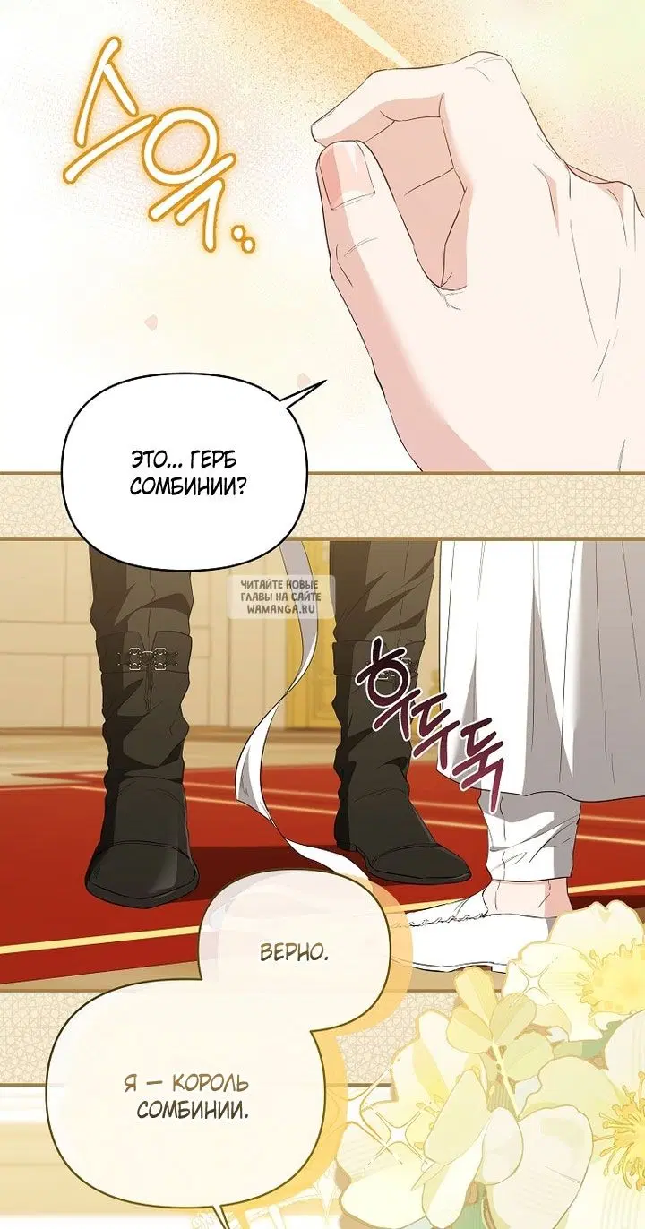 Page 31.000