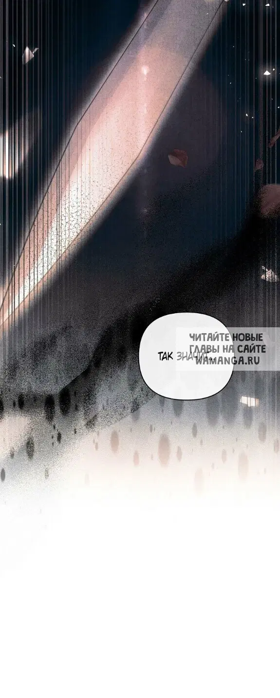 Page 55.000