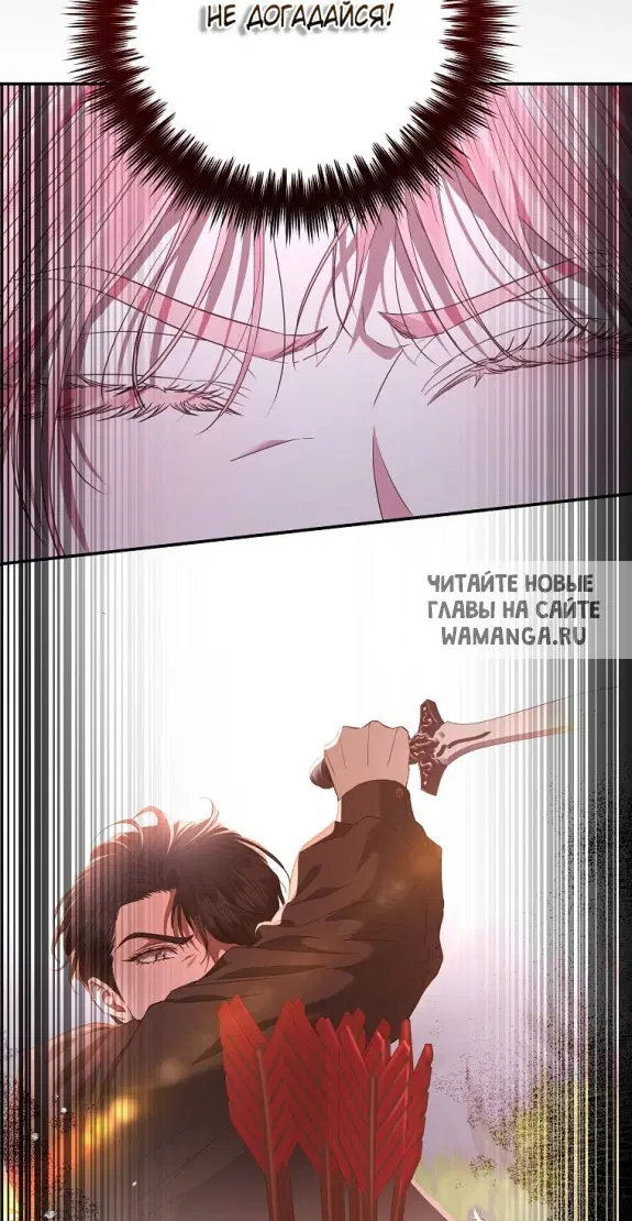 Page 55.000