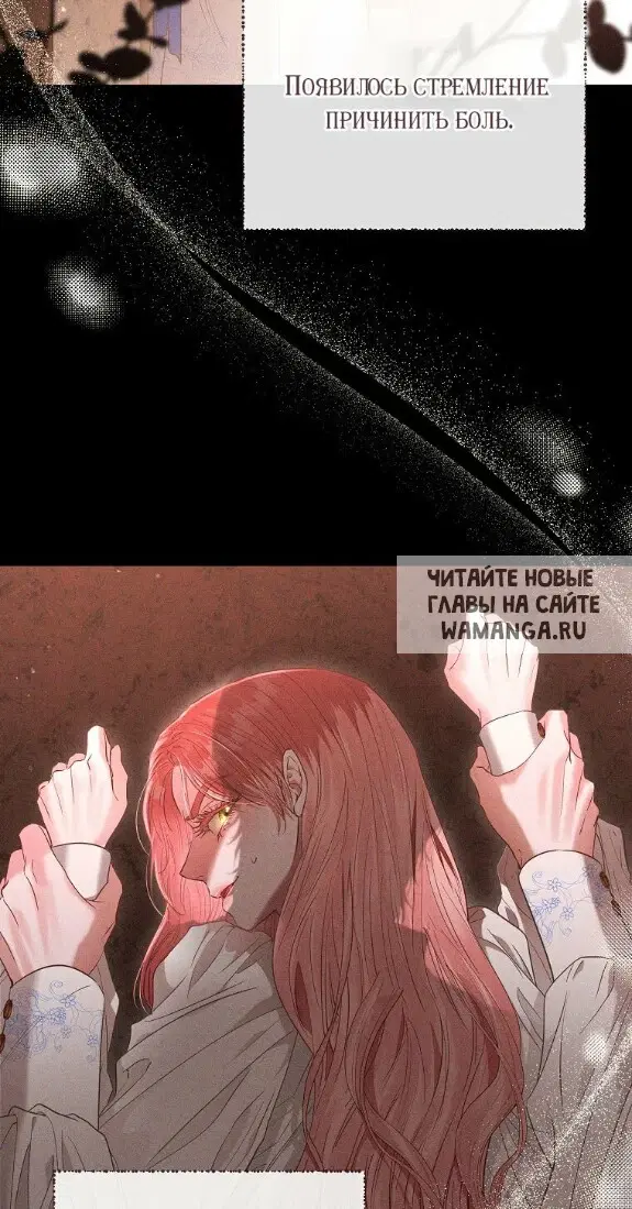 Page 50.000