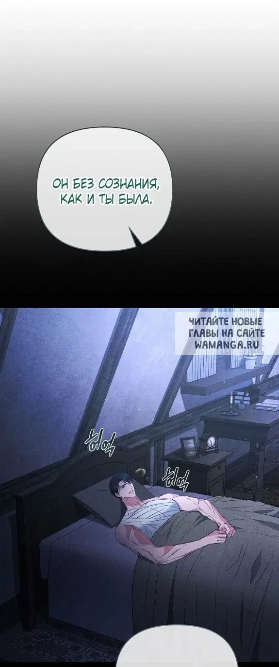 Page 51.000