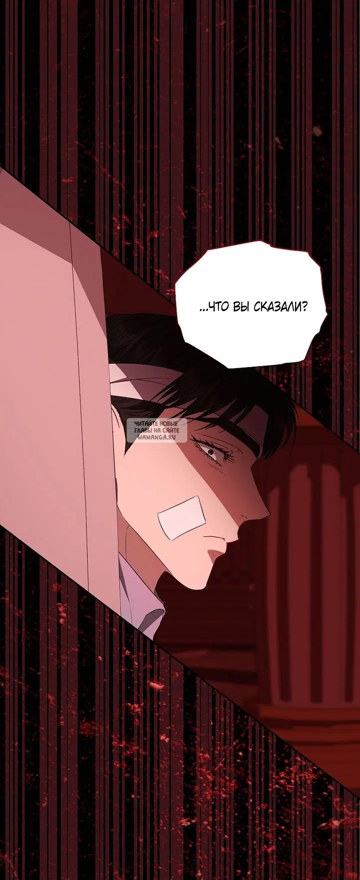 Page 51.000