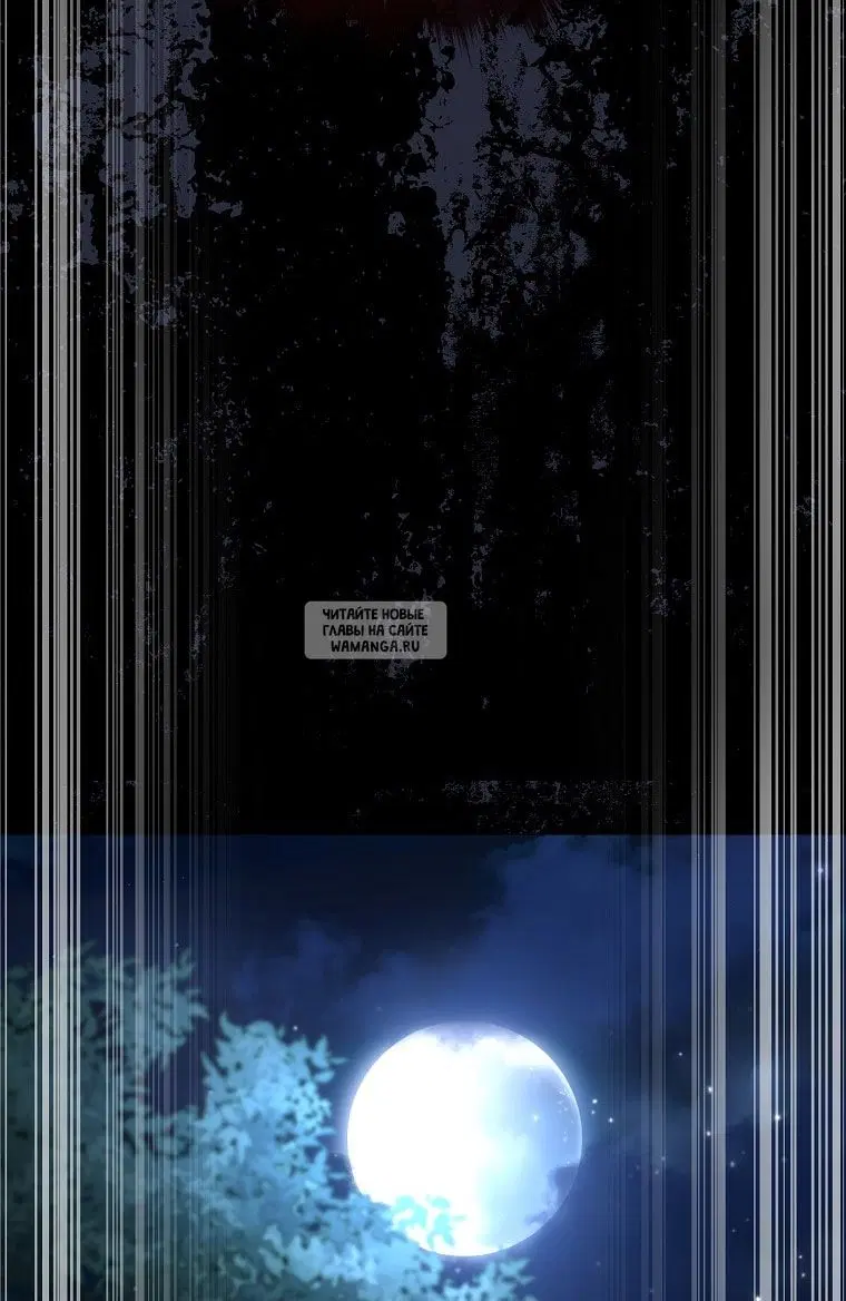 Page 62.000