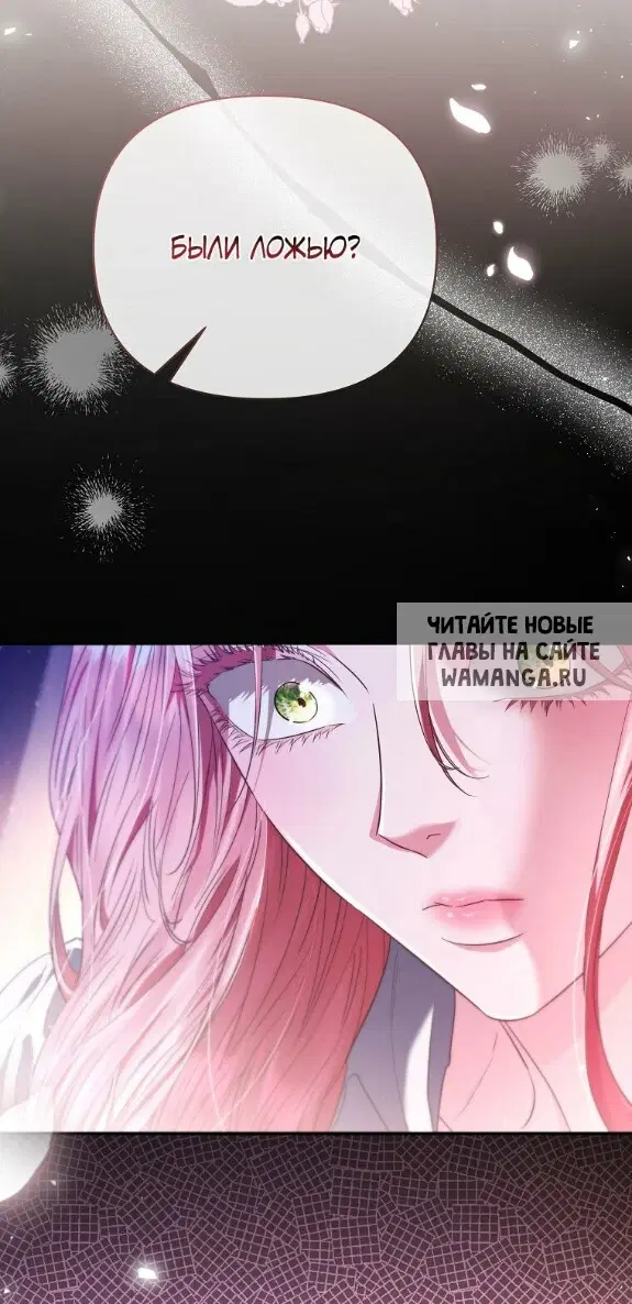 Page 81.000