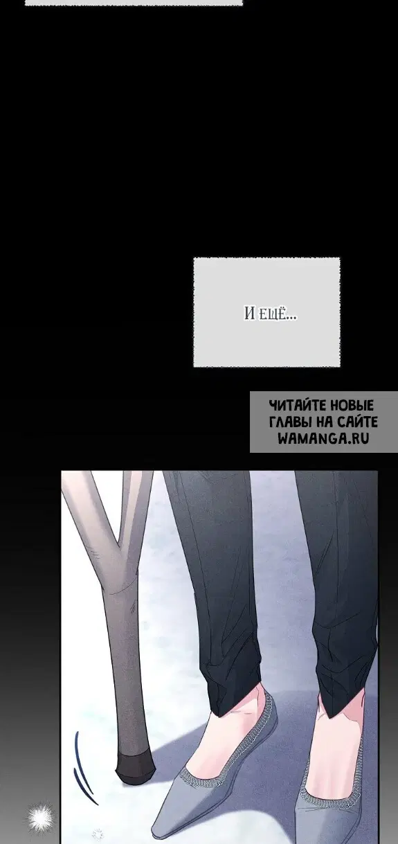 Page 81.000