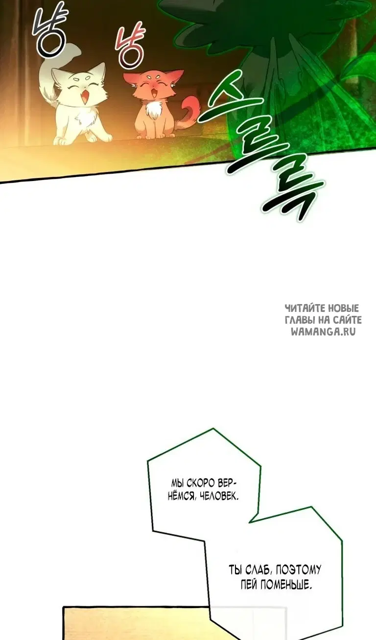 Page 30.000