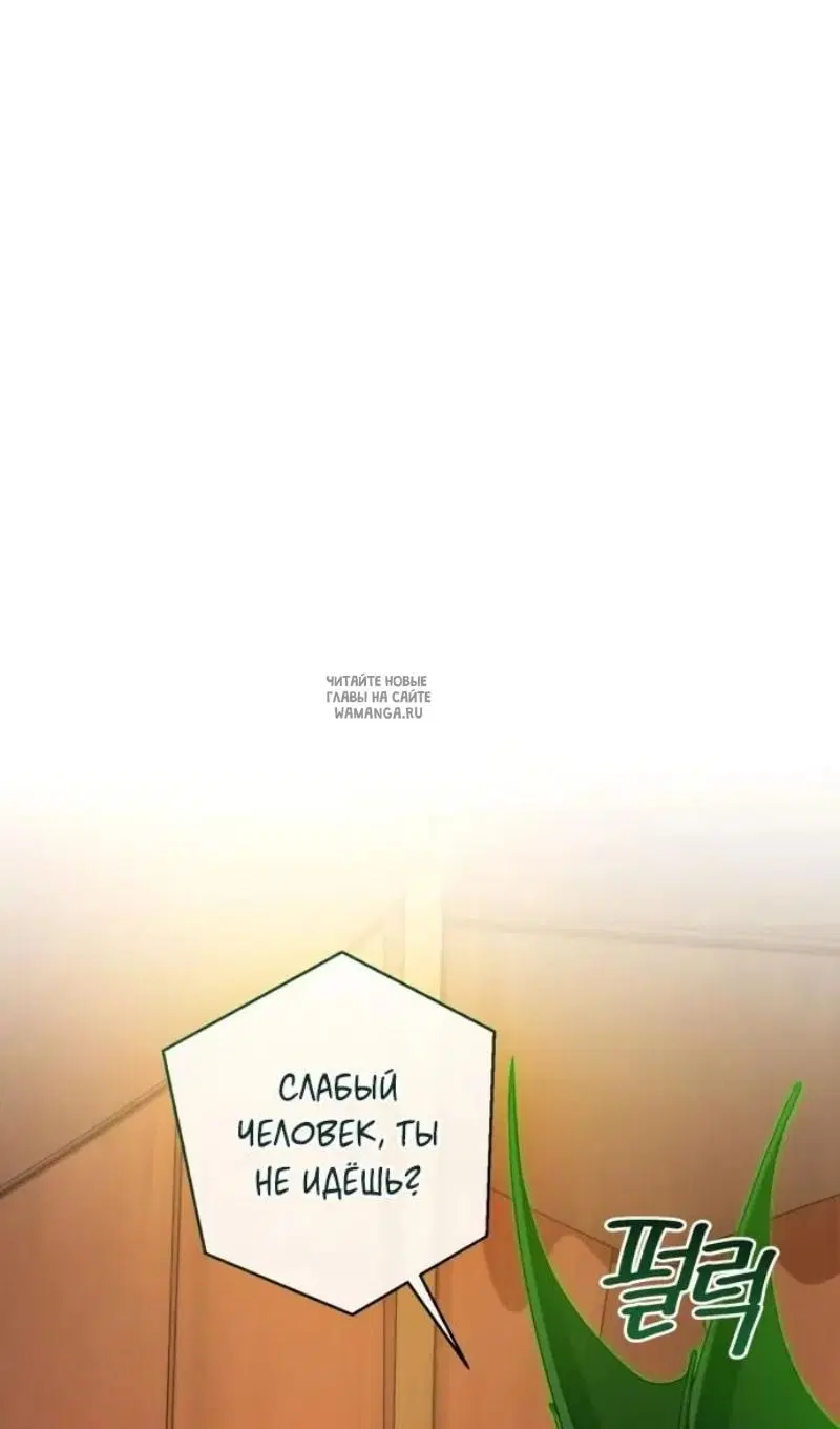 Page 53.000