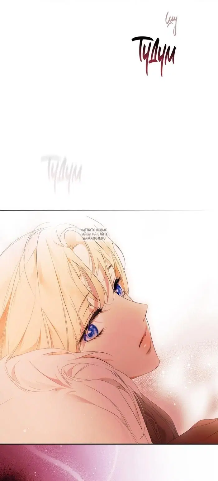 Page 25.000