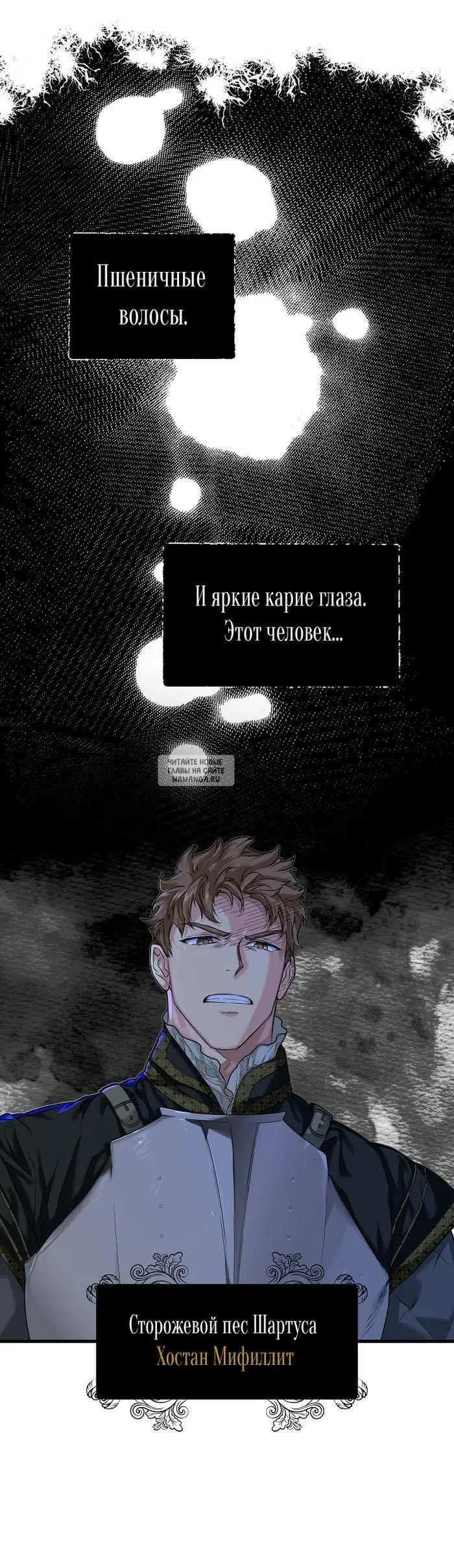 Page 31.000