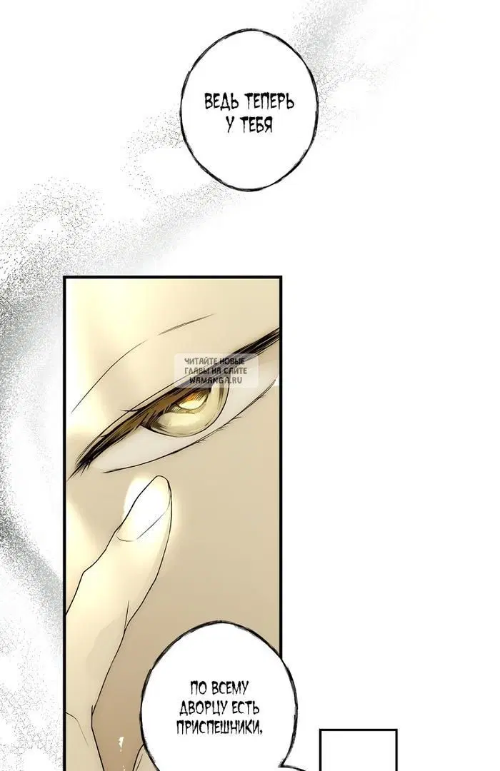 Page 31.000