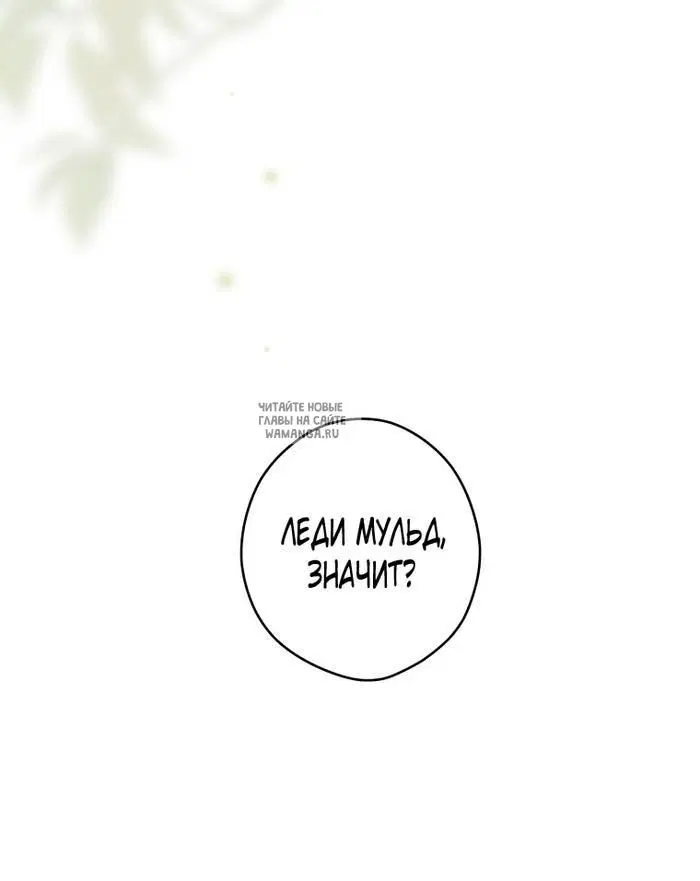 Page 32.000
