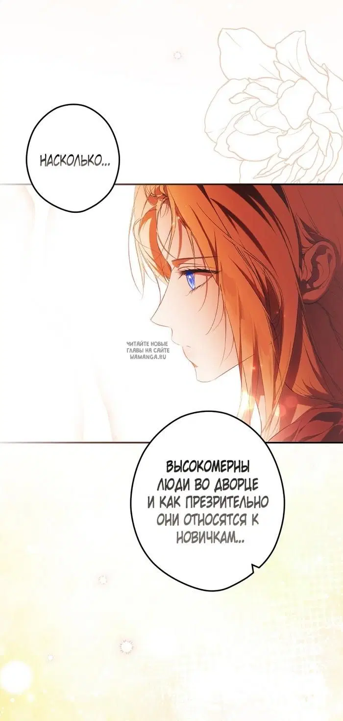 Page 40.000