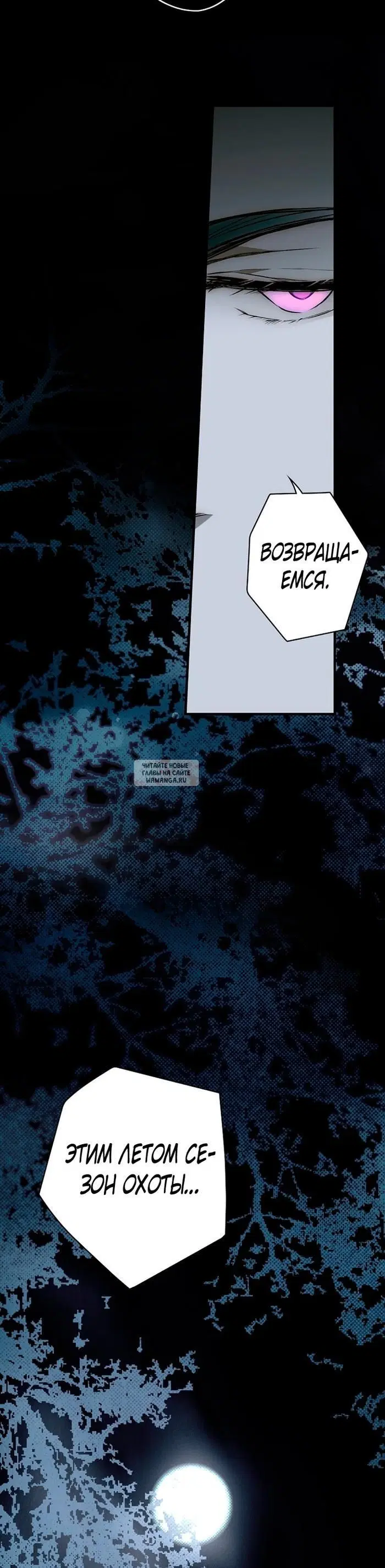 Page 41.000