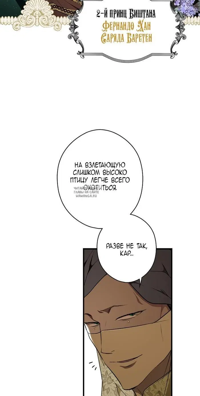 Page 41.000