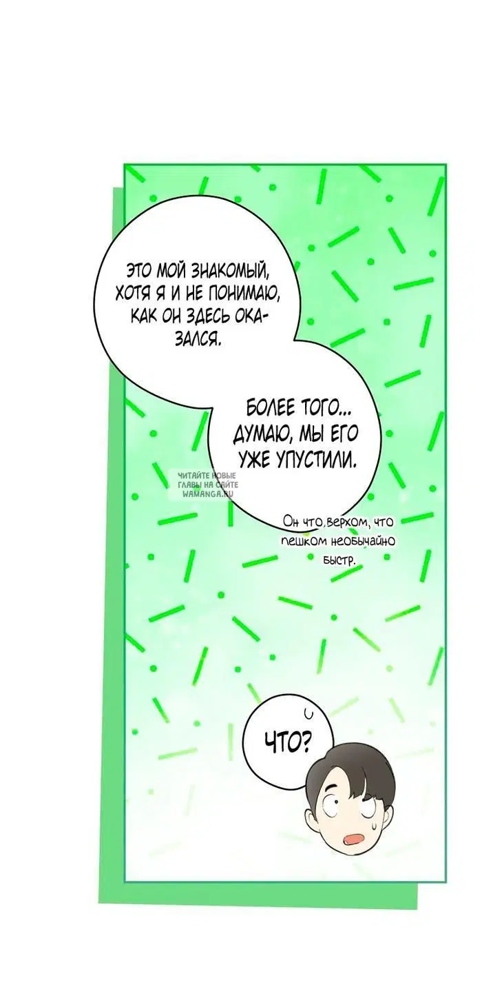 Page 41.000