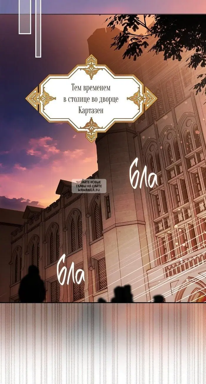Page 43.000