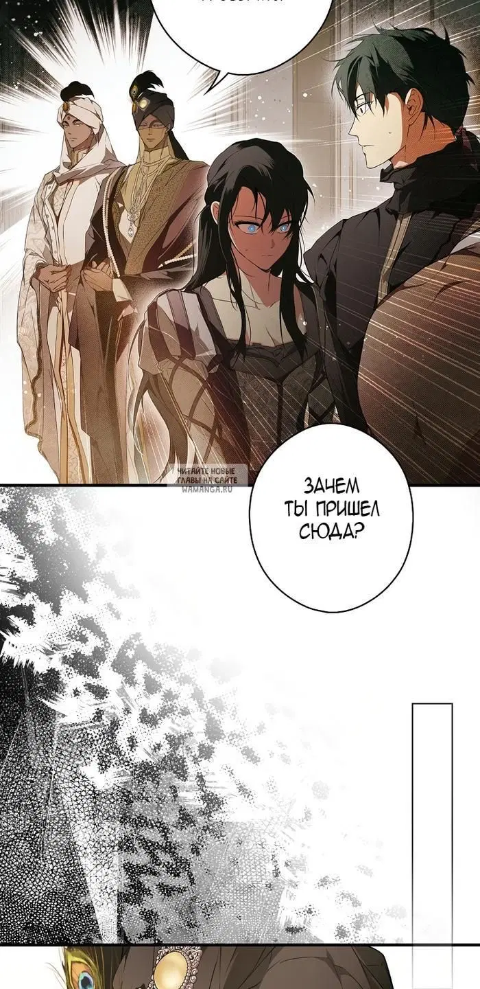 Page 50.000