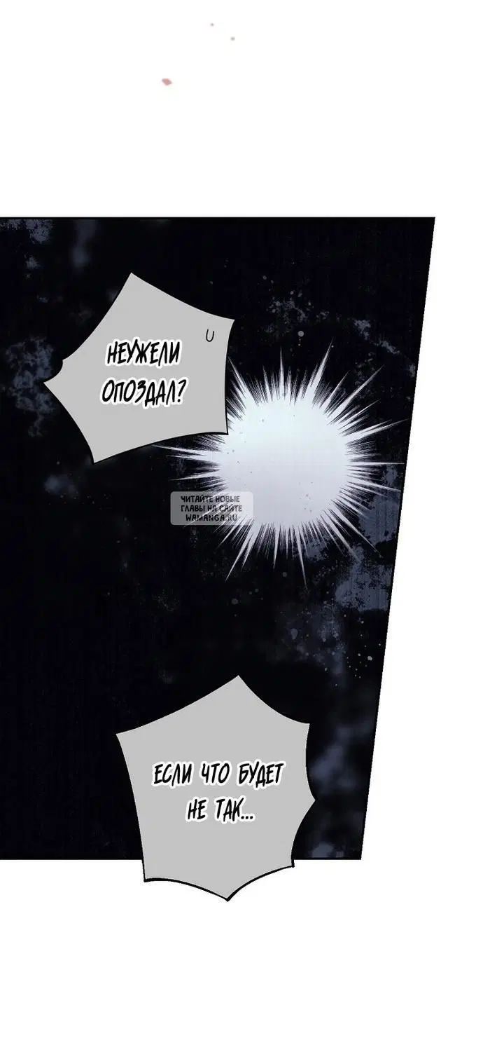 Page 50.000