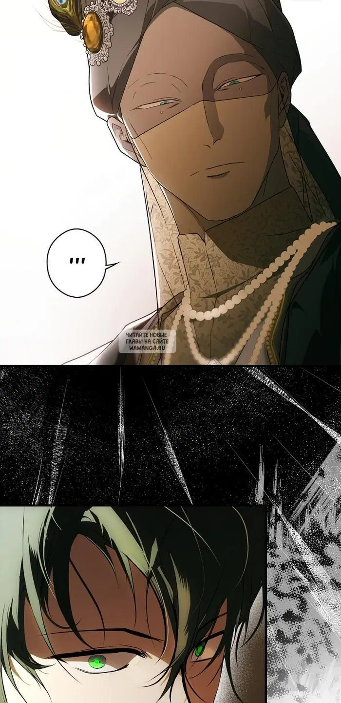 Page 51.000