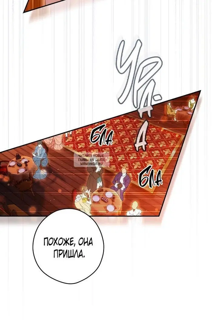 Page 51.000