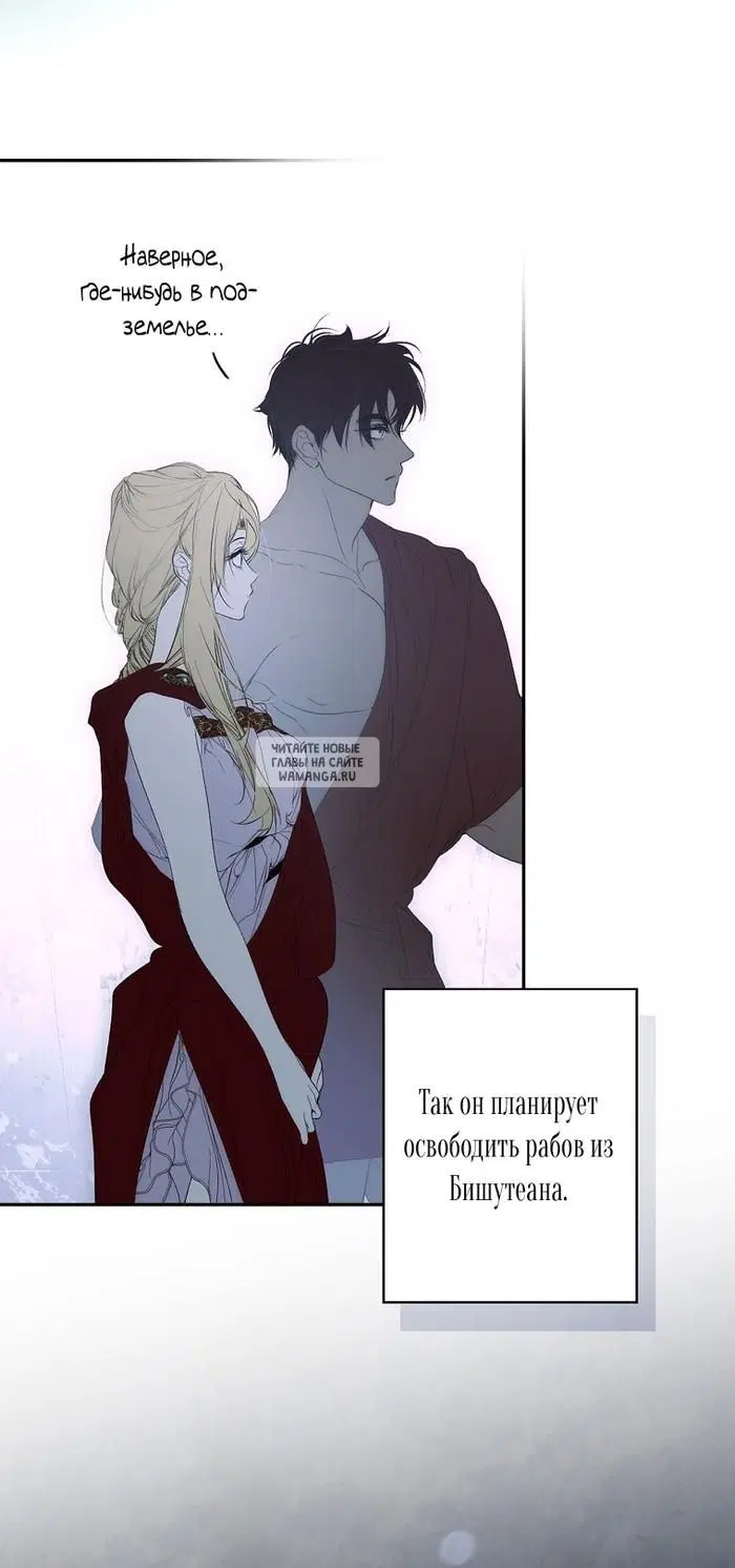Page 51.000
