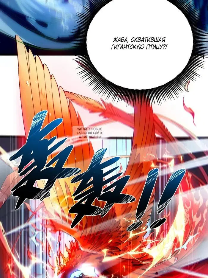 Page 50.000