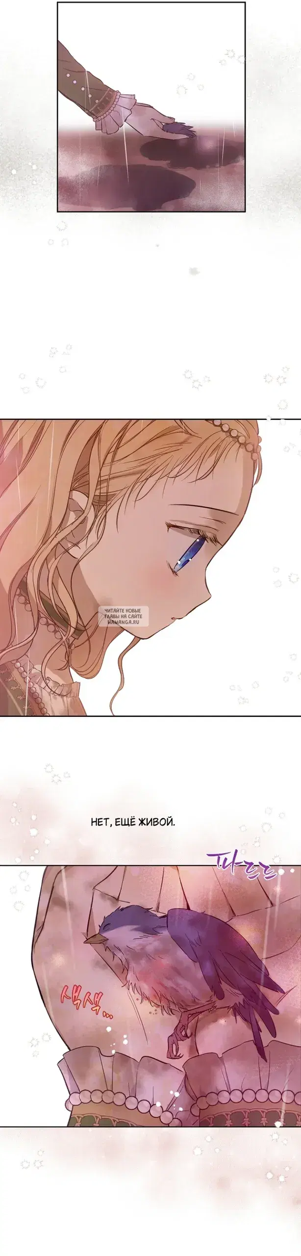 Page 16.000