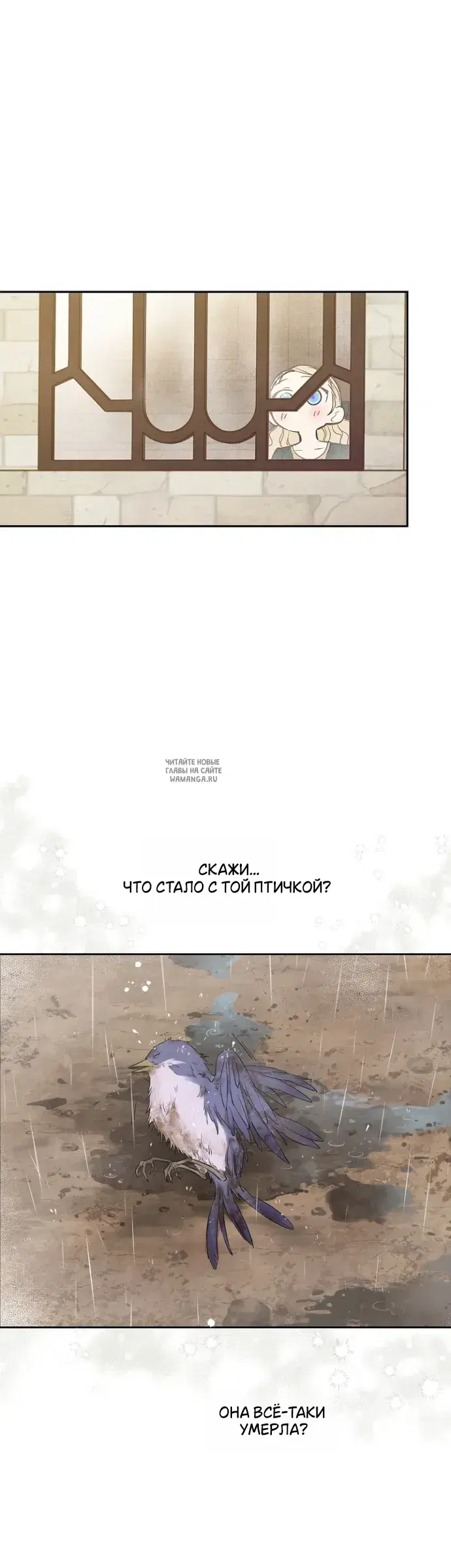 Page 40.000