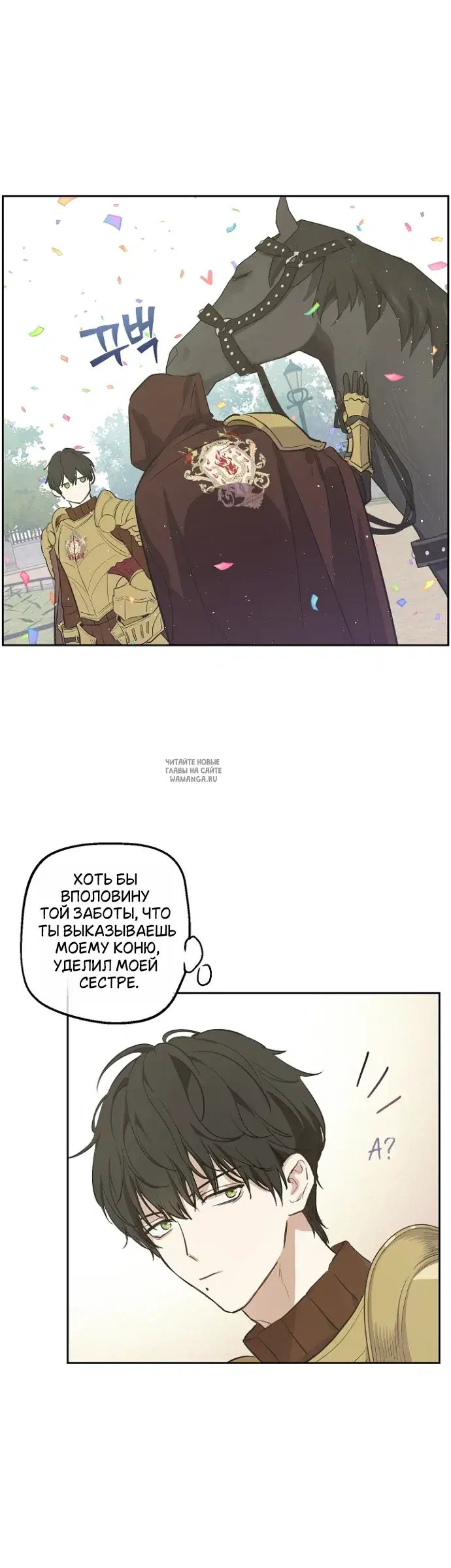 Page 51.000
