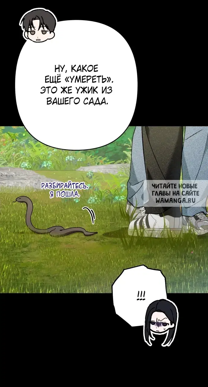 Page 32.000