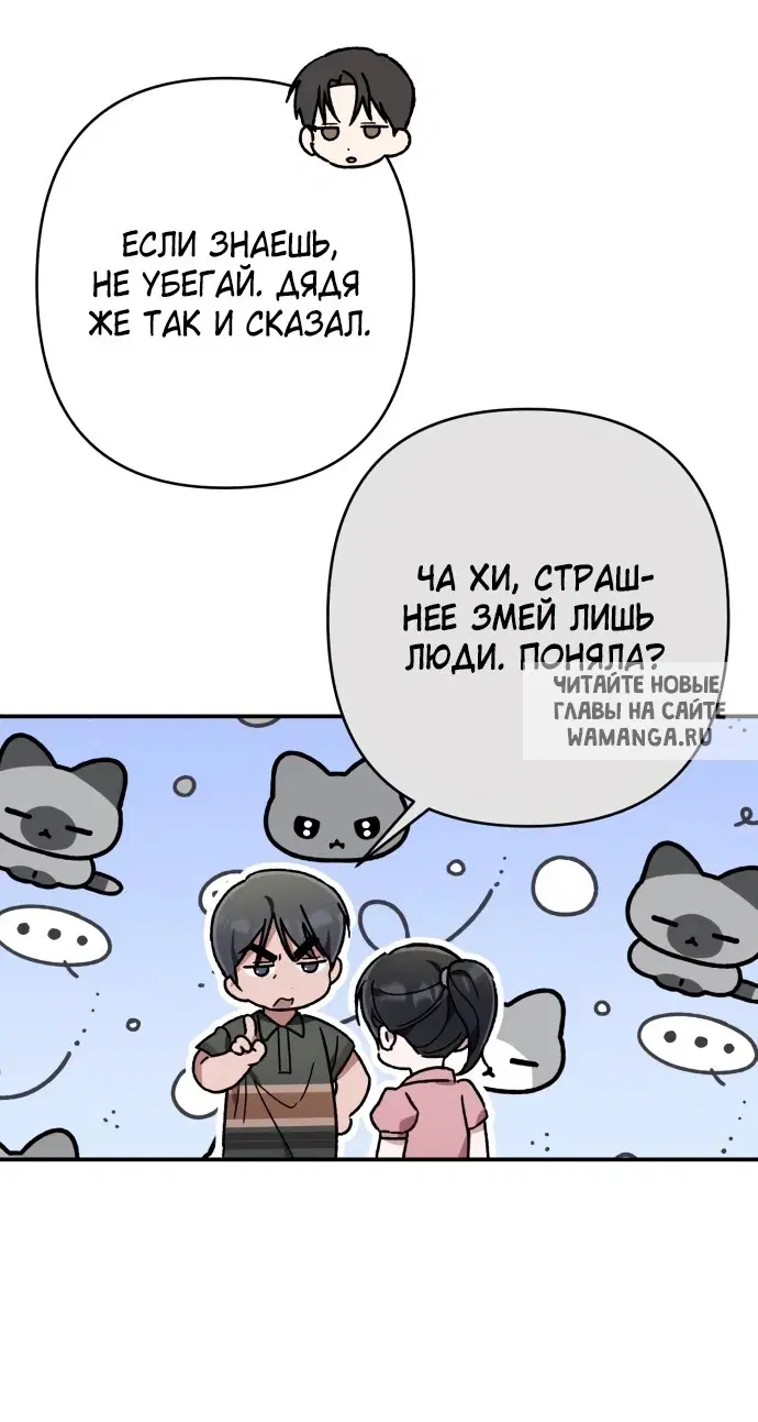 Page 41.000