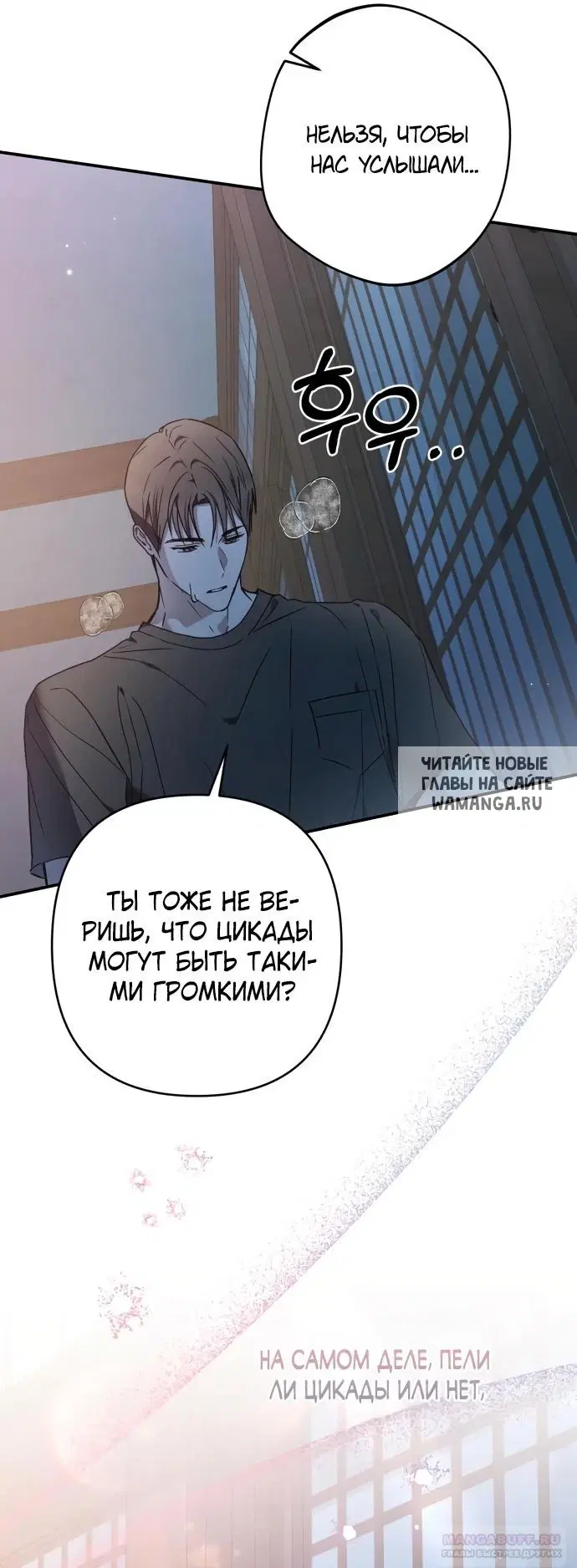 Page 41.000