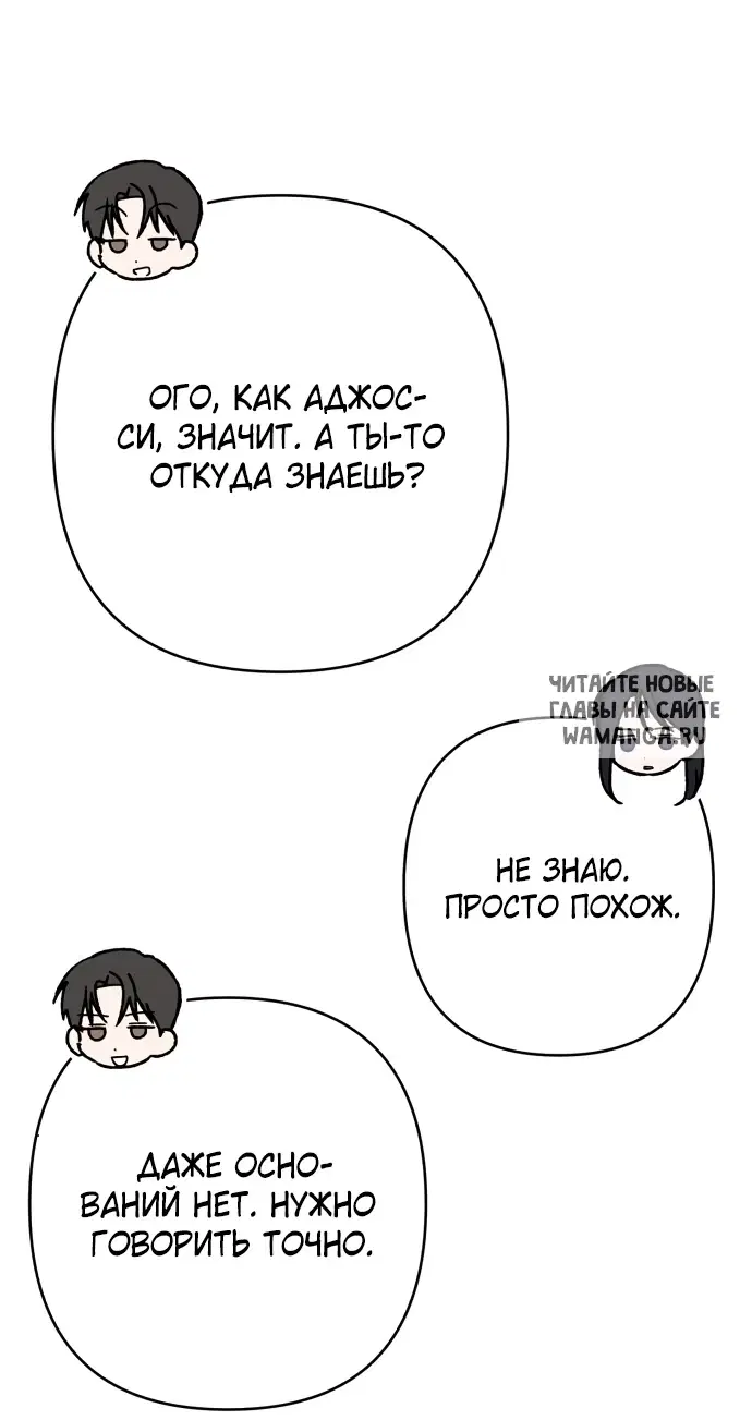 Page 50.000