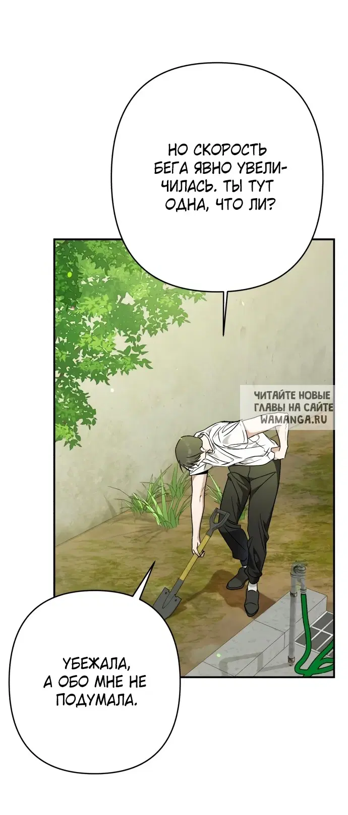 Page 50.000