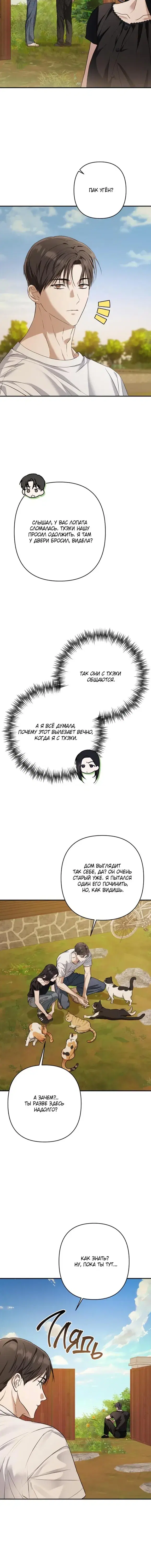 Page 6.001