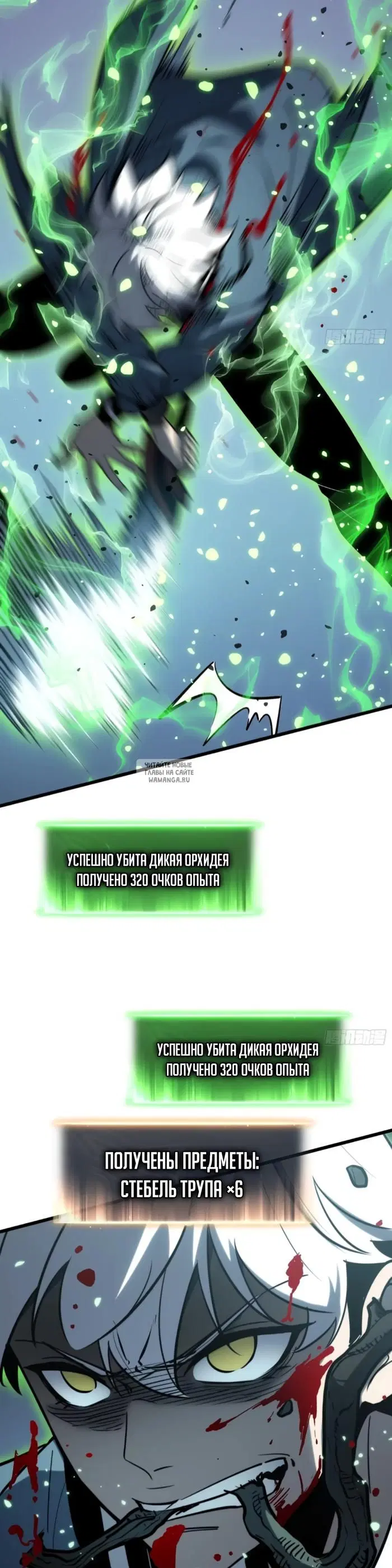 Page 25.000