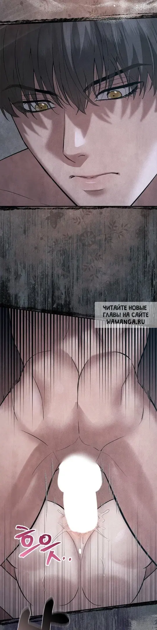 Page 51.000