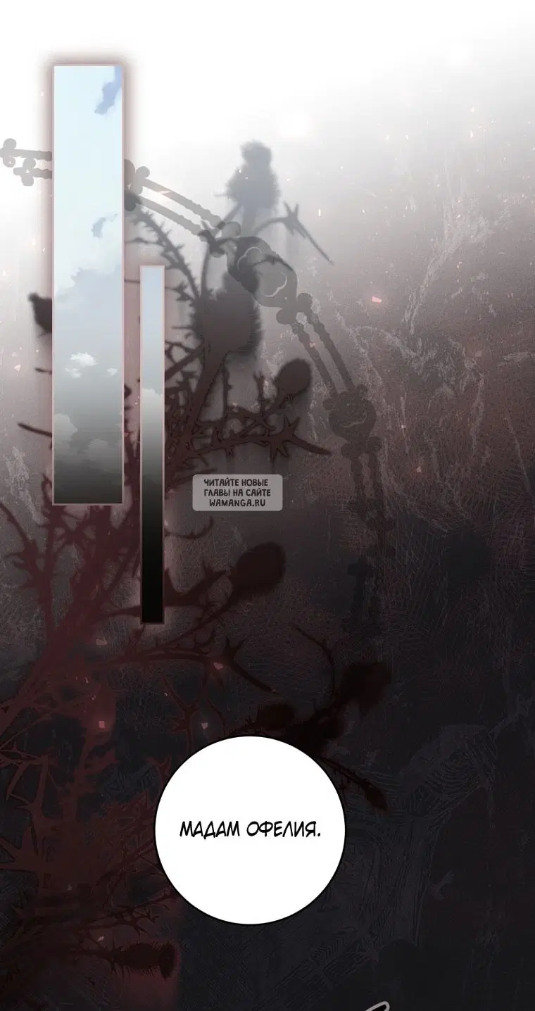Page 43.000