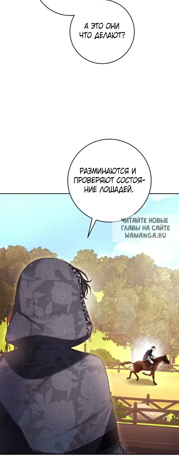 Page 53.000