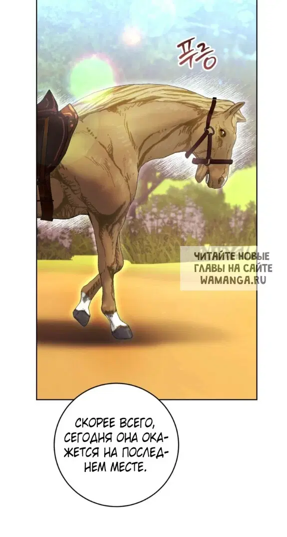 Page 61.000
