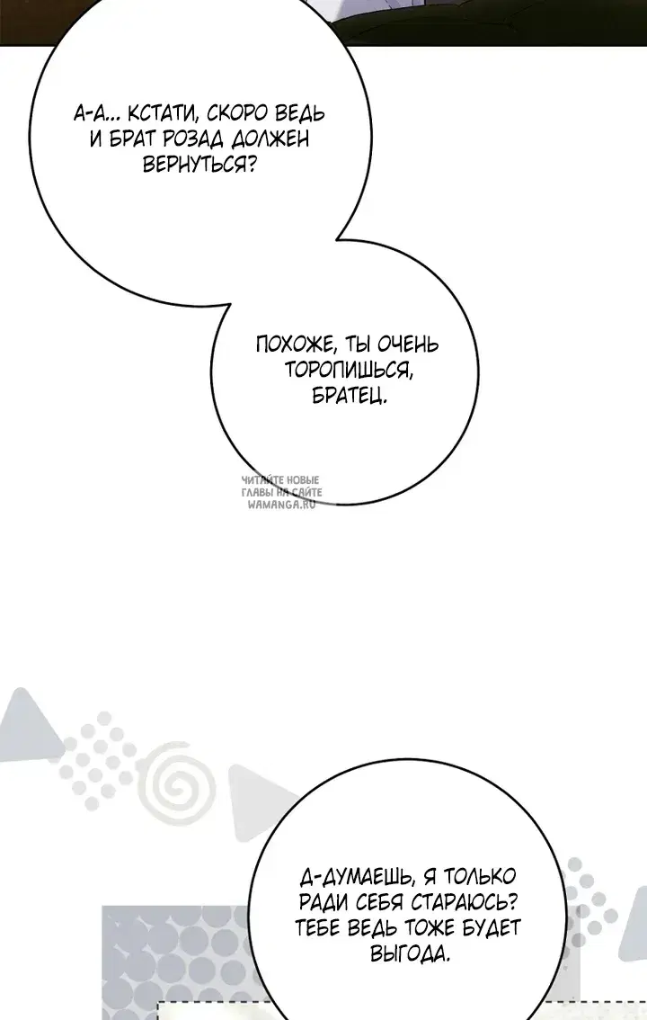 Page 81.000