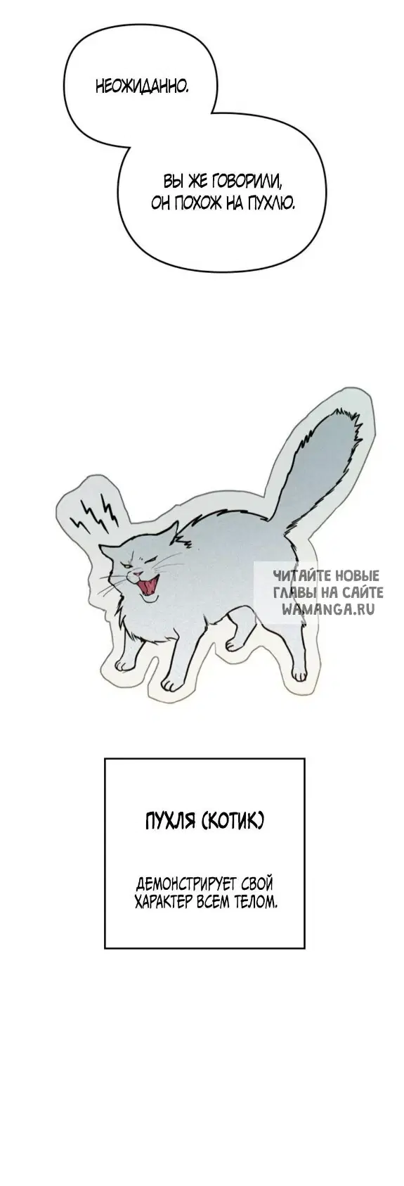 Page 45.000