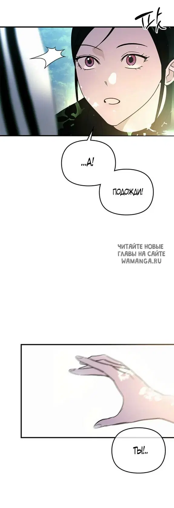 Page 40.000