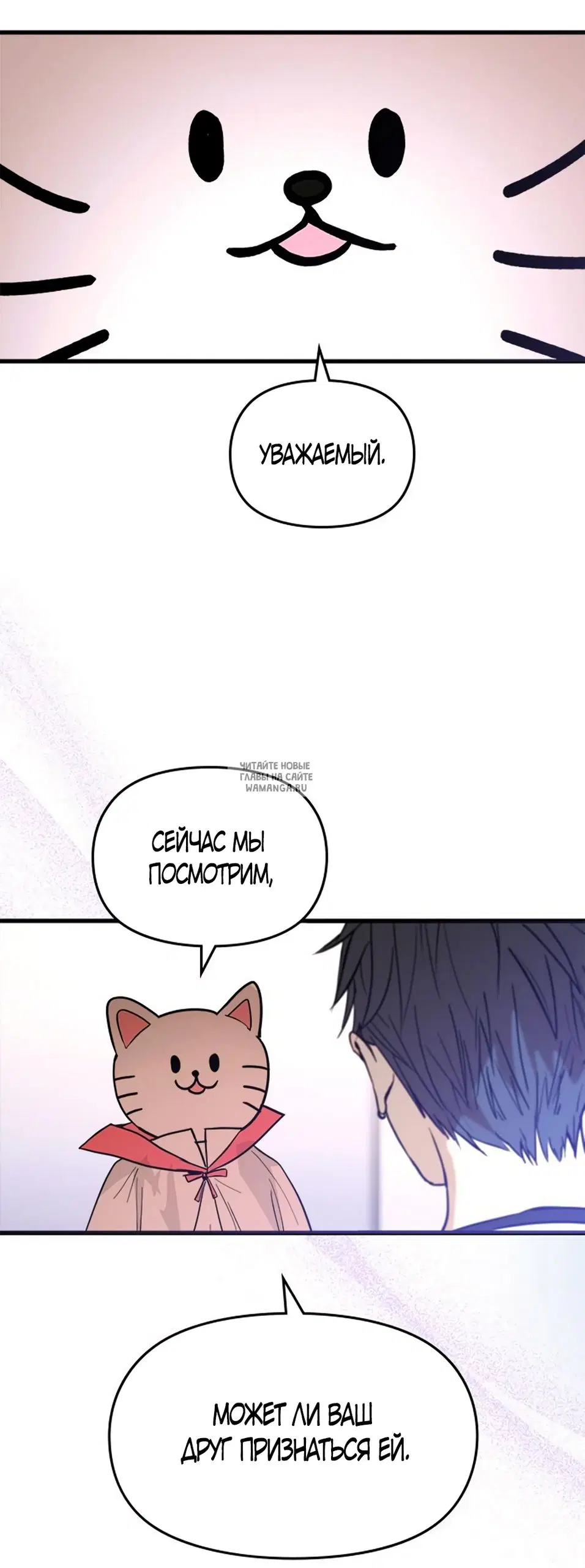 Page 55.000